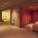 ファン デル ファルク ハーレム