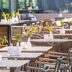 ファン デル ファルク ハーレム